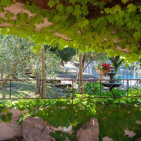 U皮尔露酒店 维琪奥港