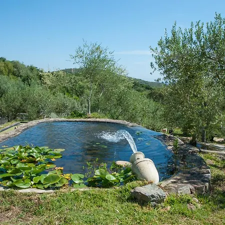 U Pirellu Holiday park Porto-Vecchio (Corsica)