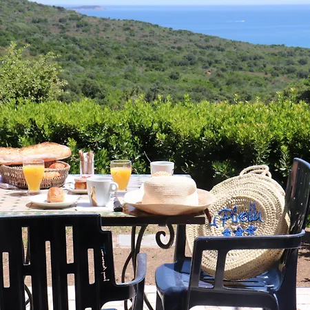 U皮尔露酒店 3* 维琪奥港