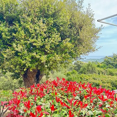 U Pirellu Aldeamento Turístico Porto-Vecchio (Corsica)